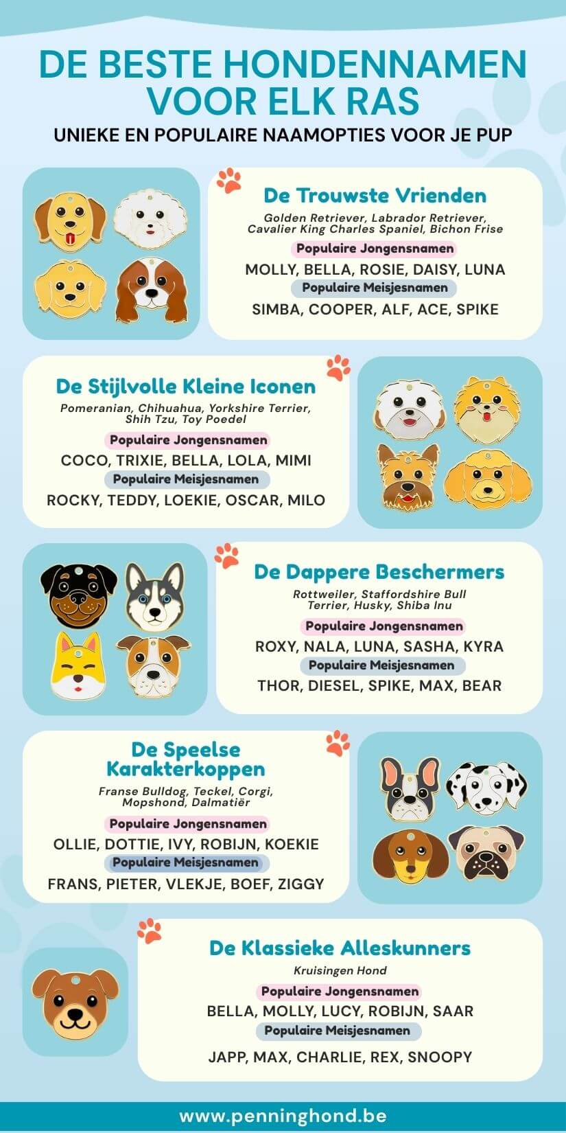 Beste hondennamen per ras, ideaal voor gepersonaliseerde hondenpenningen, gegraveerde hondenpenningen en honden ID tags